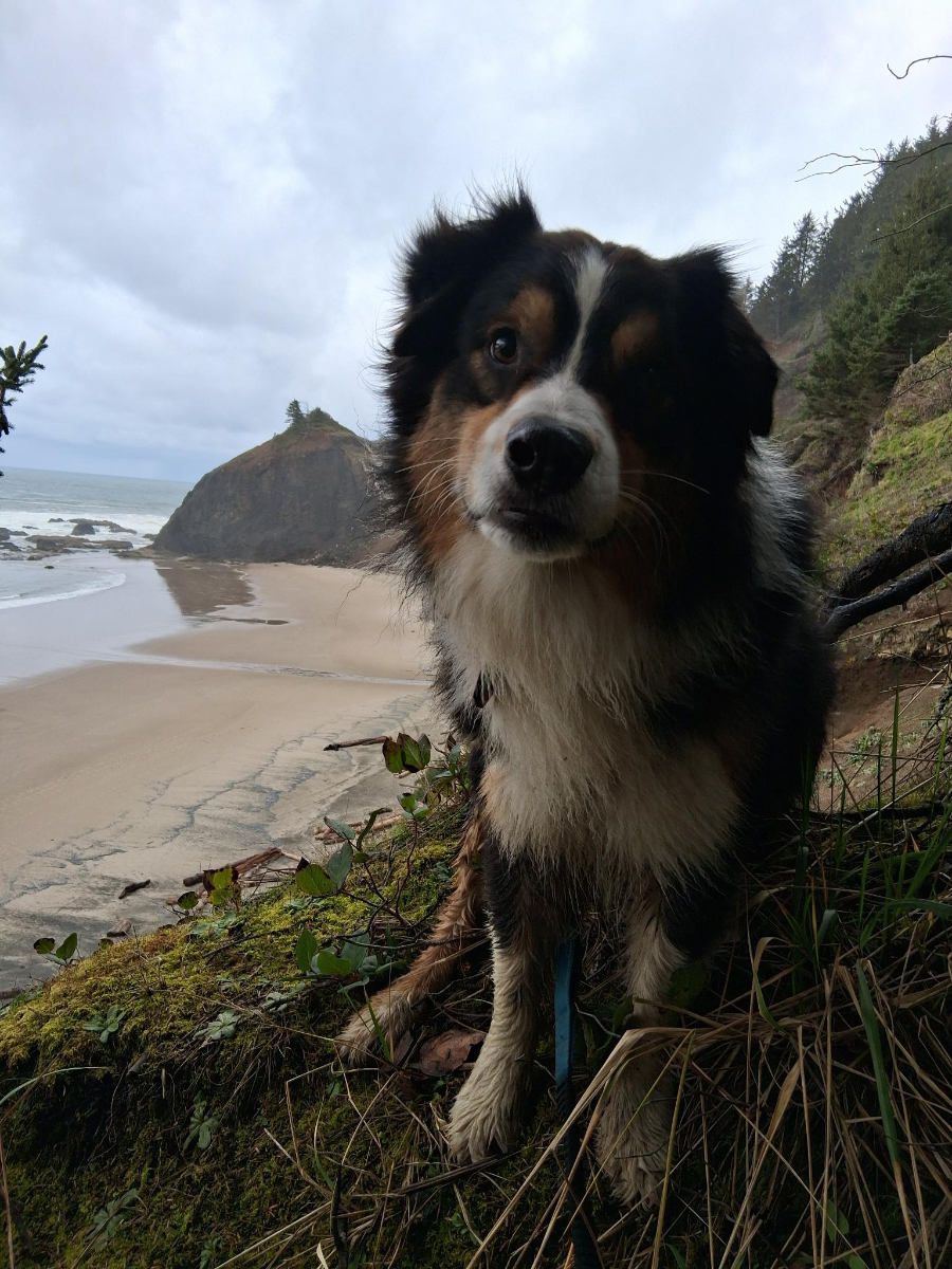 Beach Day