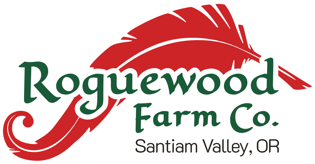 Our New Logo